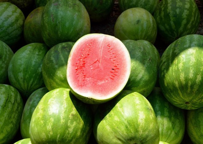 Mientras todo se pone más caro que nunca, dos frutas están bajando de forma sorprendente: el melón y la sandía